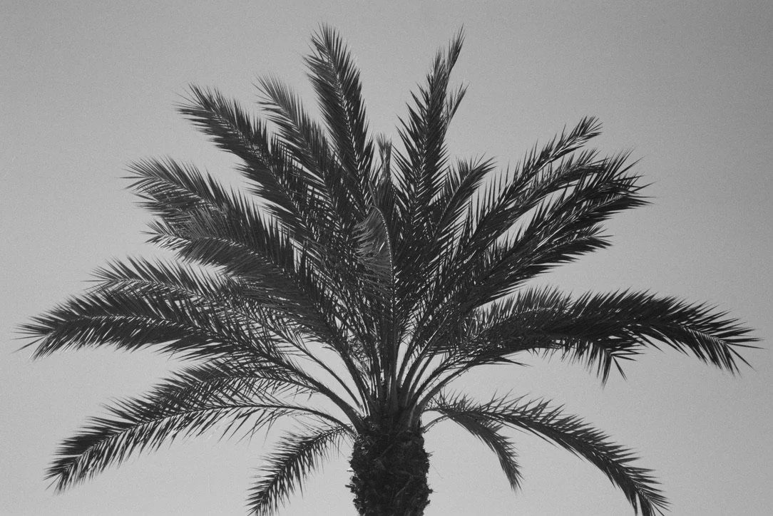 57A5CF46-B39D-4386-905E-DC533D6E233B_1_105_c.jpeg