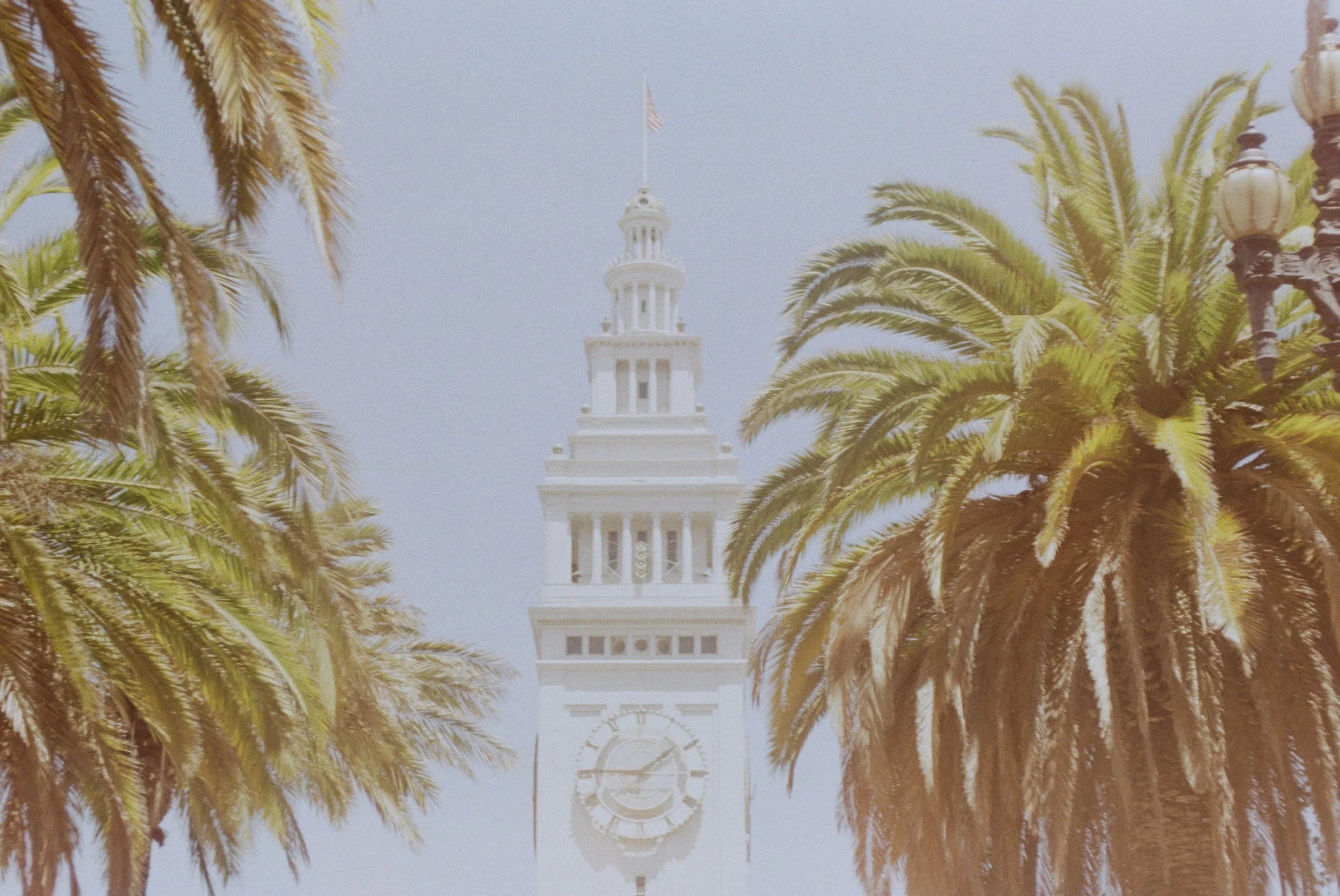 2EC2BFBC-F059-4A7F-BFD5-680C21A5DE8D.jpeg