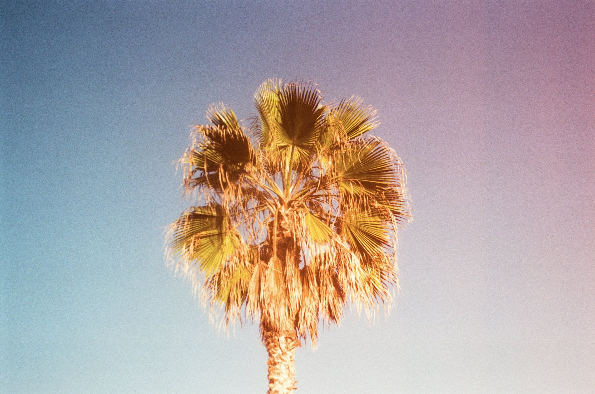 6FC4AB5E-4DE3-4A65-AEA4-CF1309C8480B_1_201_a.jpeg
