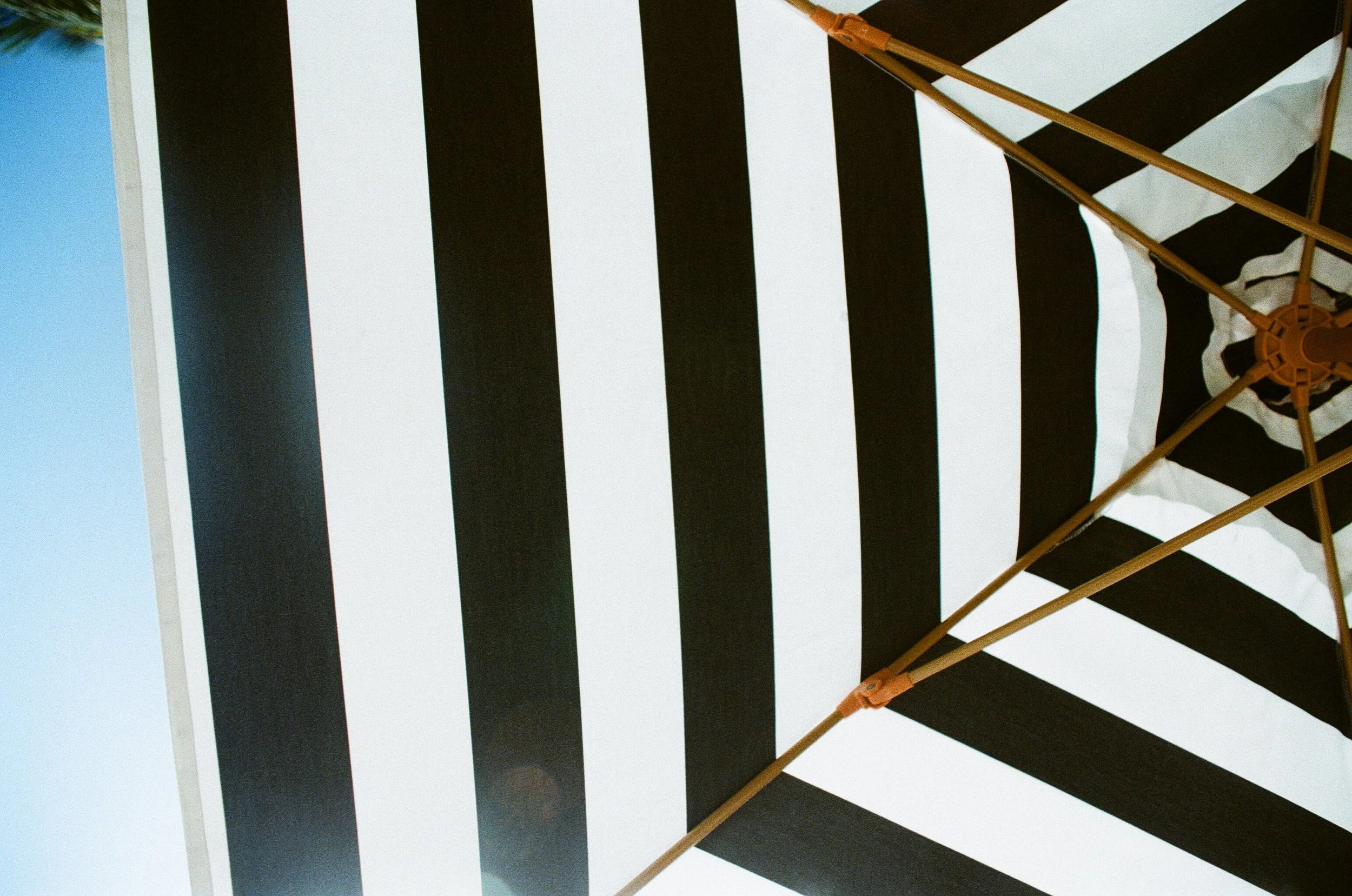 B17B6894-3302-4172-9907-AF4DF28767E8.jpeg