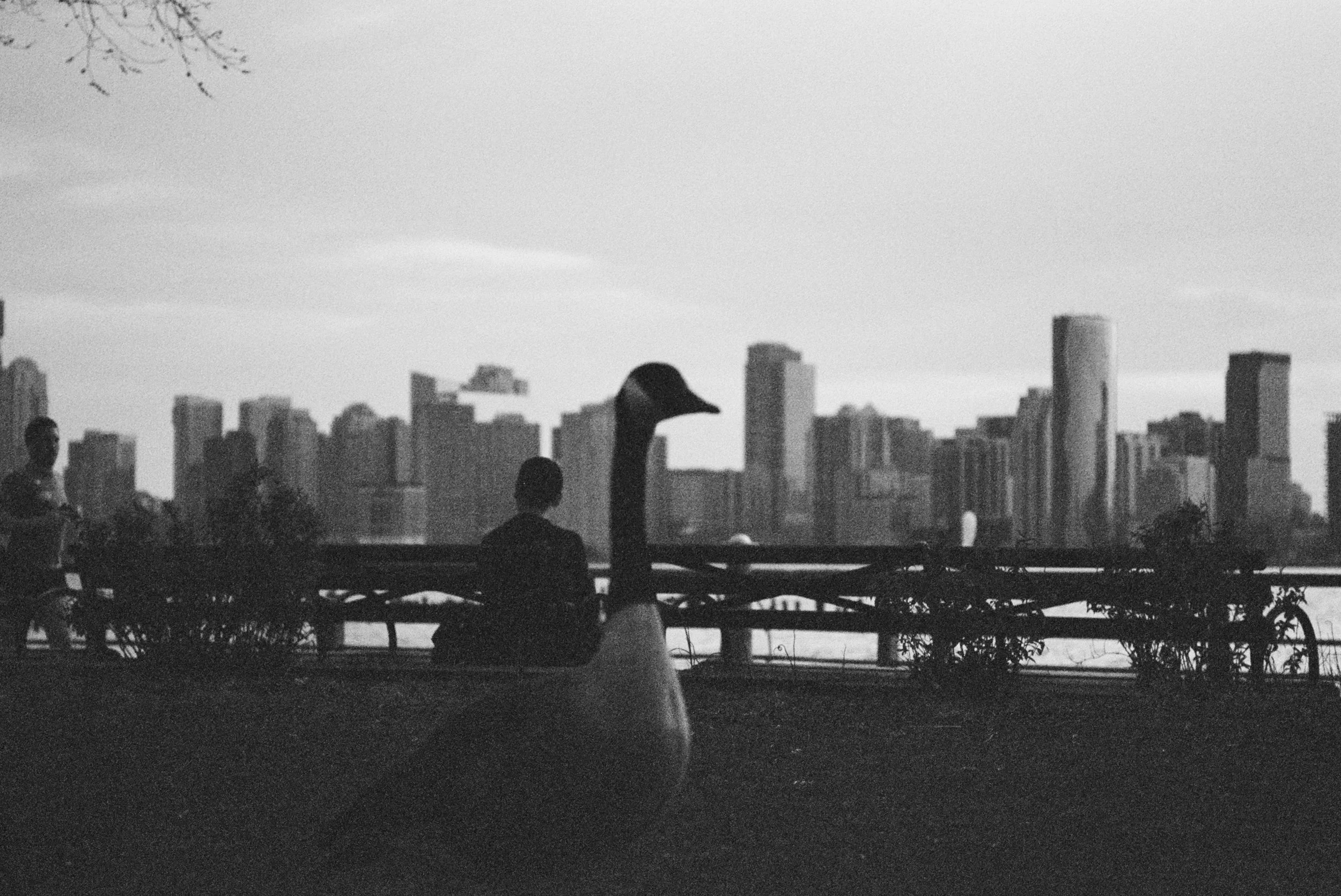 498319D1-3B76-43EE-A30F-1B7527063451.jpeg