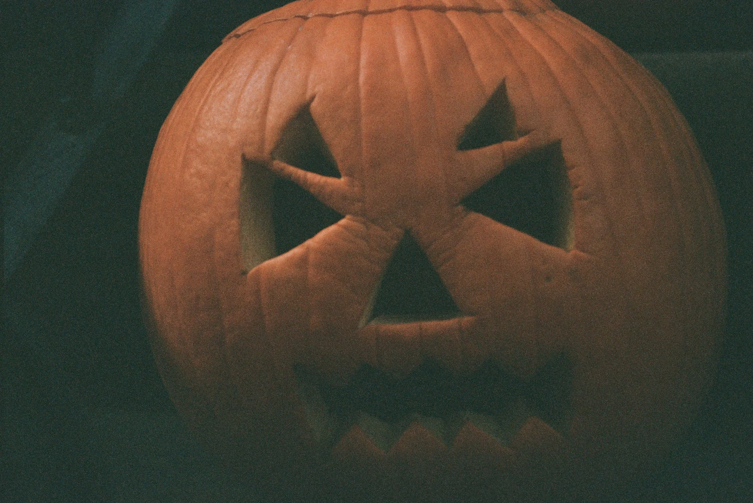 EEAD1B2A-2F6D-40B1-B4F7-683F6DFB147E.jpeg