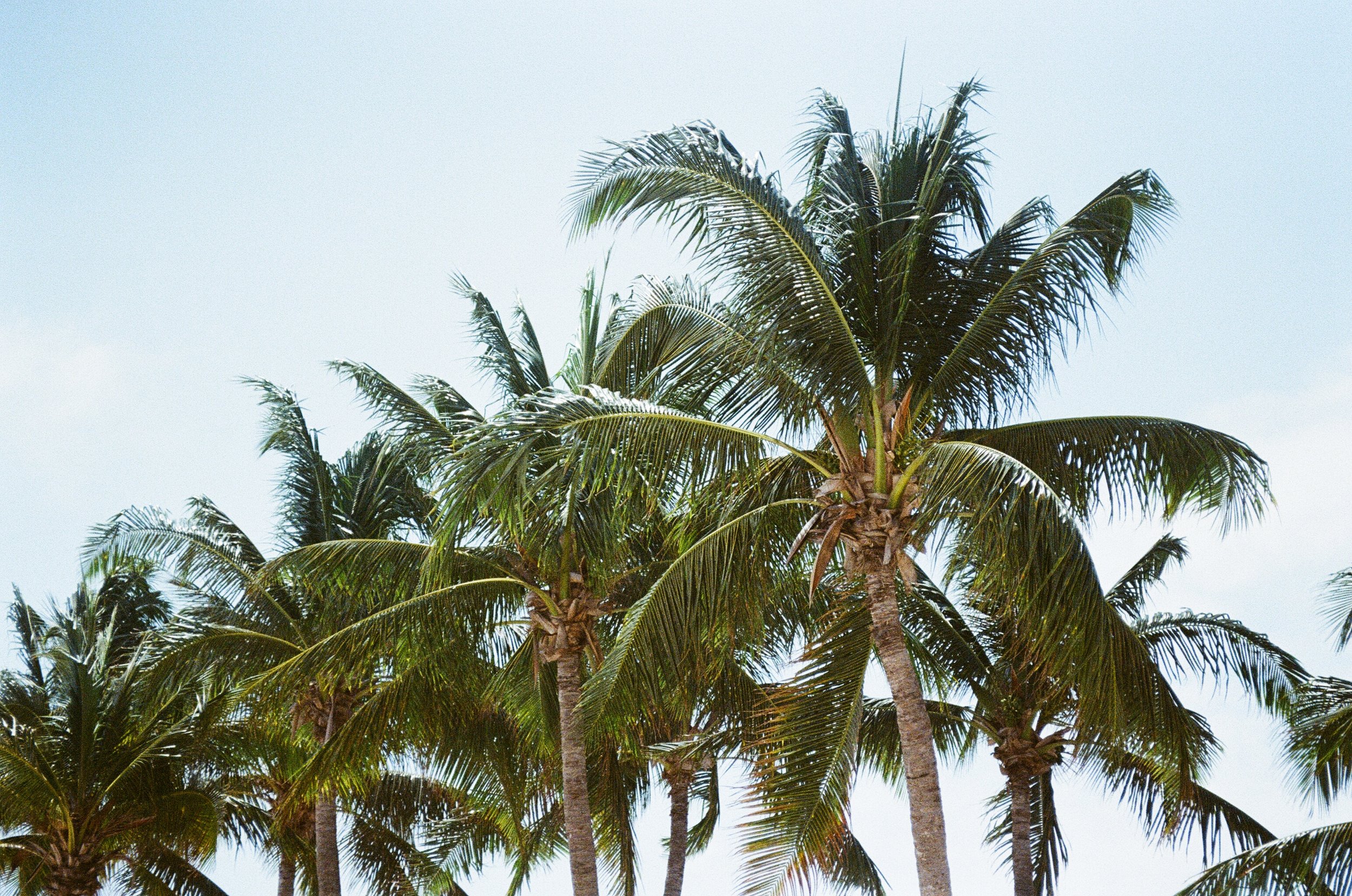 7EF0C275-B95D-40BE-89D1-964AC33E35A0.jpeg
