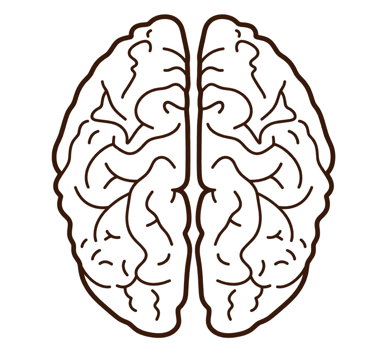 Outline of a human brain in brown against a black background.