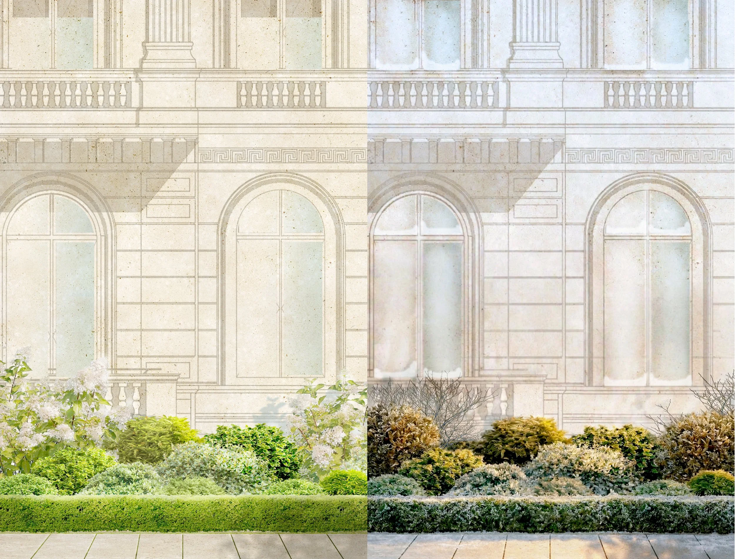 Jardin de showroom - Illustration Eté/Hiver
@Merci Raymond
