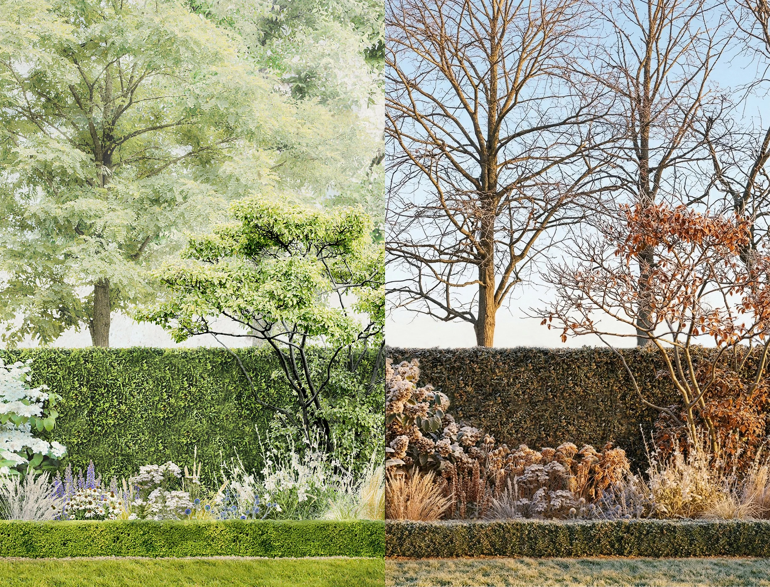 Jardin de showroom - Illustration Eté/Hiver
@Merci Raymond