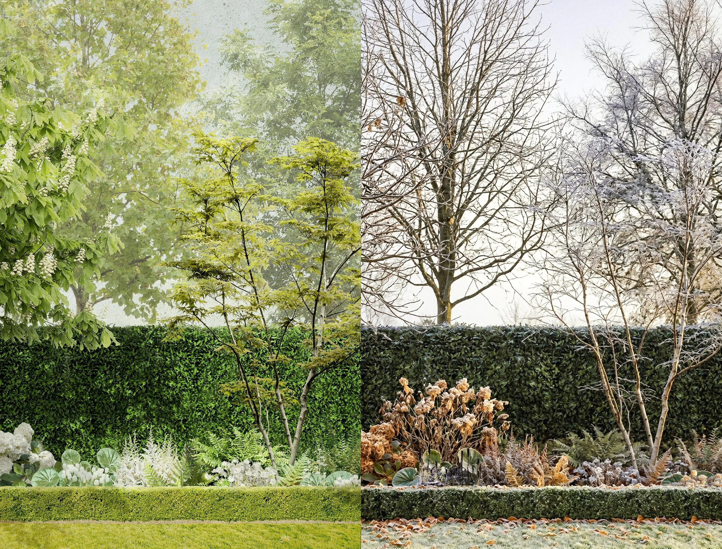 Jardin de showroom - Illustration Eté/Hiver
@Merci Raymond