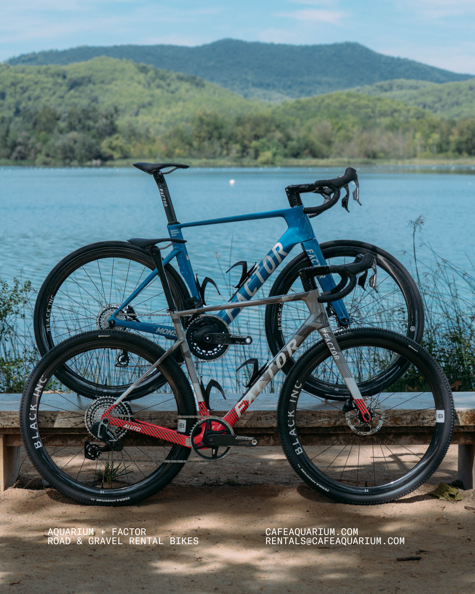 Two blue and red racing bicycles leaning against a low brick wall near a body of water with green forested hills in the background.