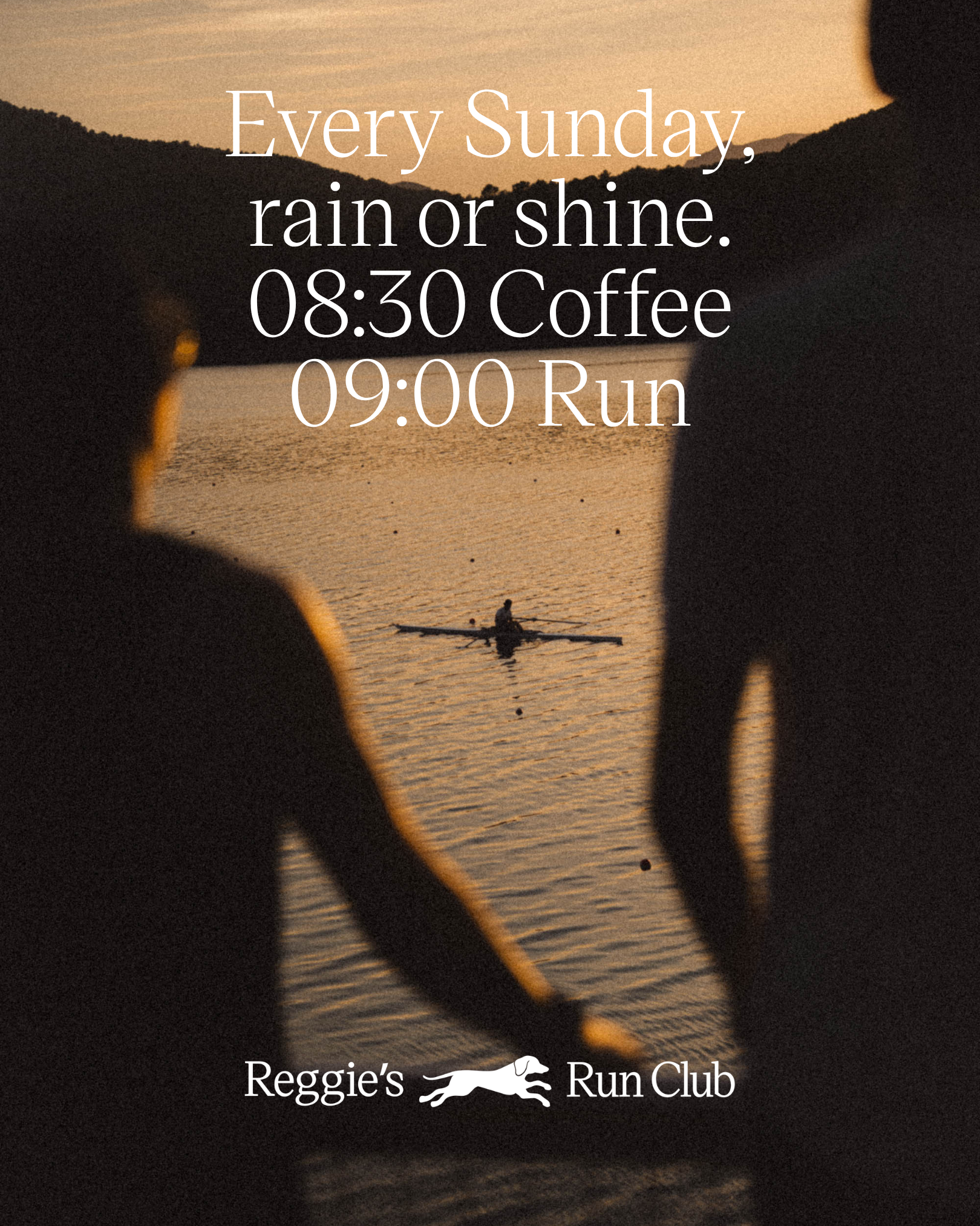 A hand reaching towards a cloudy sky with a bird flying above a landscape of trees and hills. Text overlay includes 'Reggie's Run Club', an image of a running dog, with contact information for an aquarium in Banyoles, Spain.