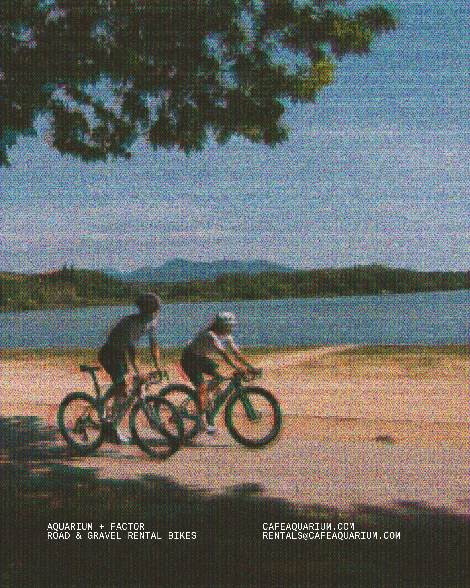 A scenic landscape with a tree in the foreground, two people riding bicycles on a gravel path, water body in the middle ground, mountain range in the background, and an overcast sky.