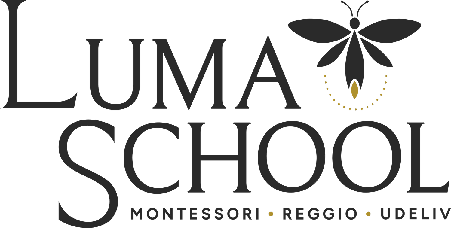 Luma School