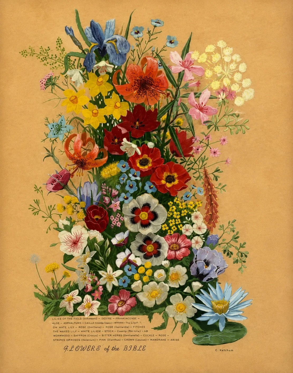 Flowers of the Bible, a botanical composition of colorful flowers found in the Bible by Caroline Ketchum Lindsey