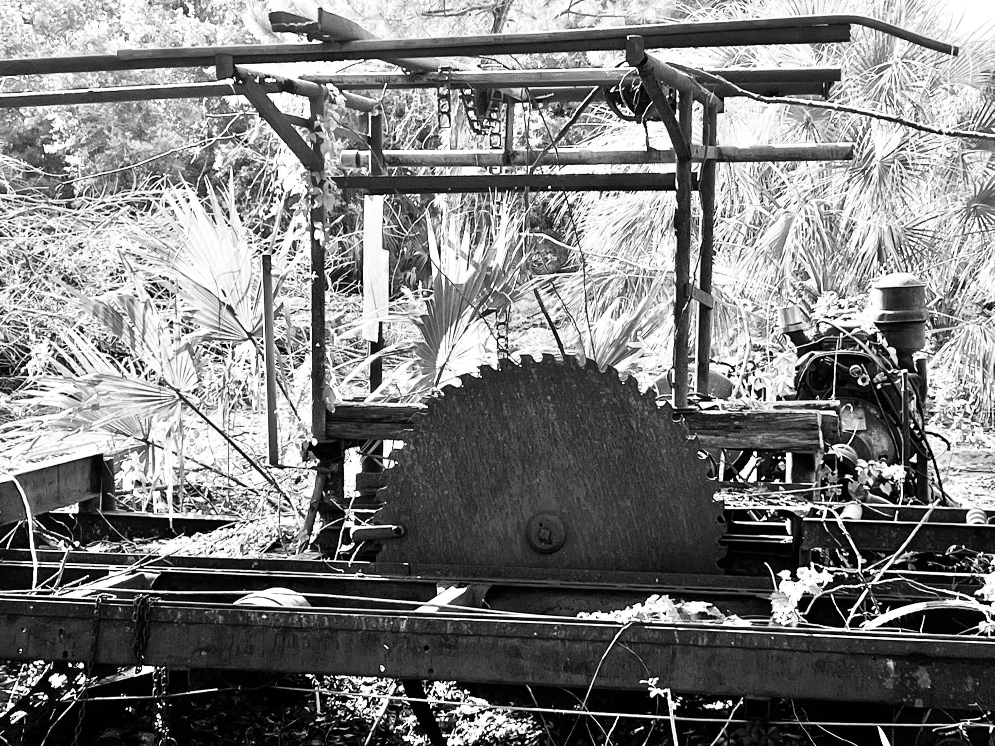 Historic sawmill and large circular saw blade on the property before Sawmill Farm was developed
