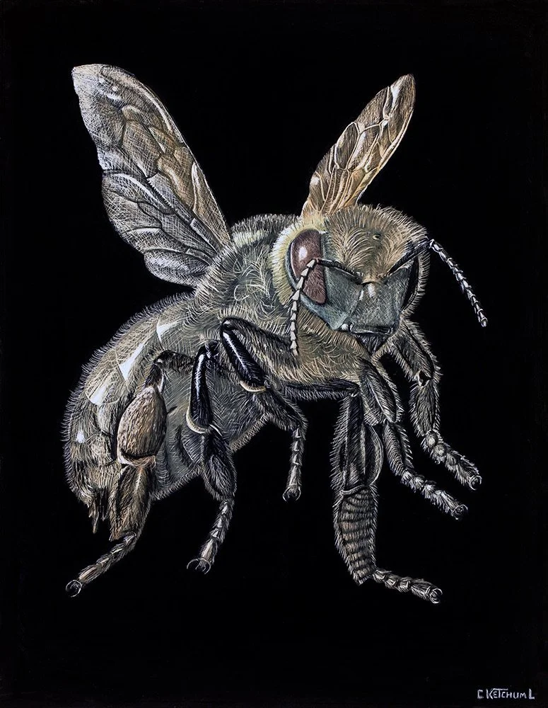 Honeybee