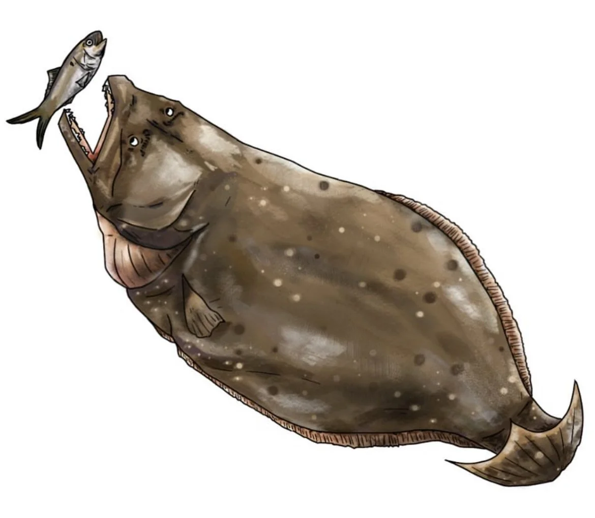 Illustration for SHES MAD flounder fishing