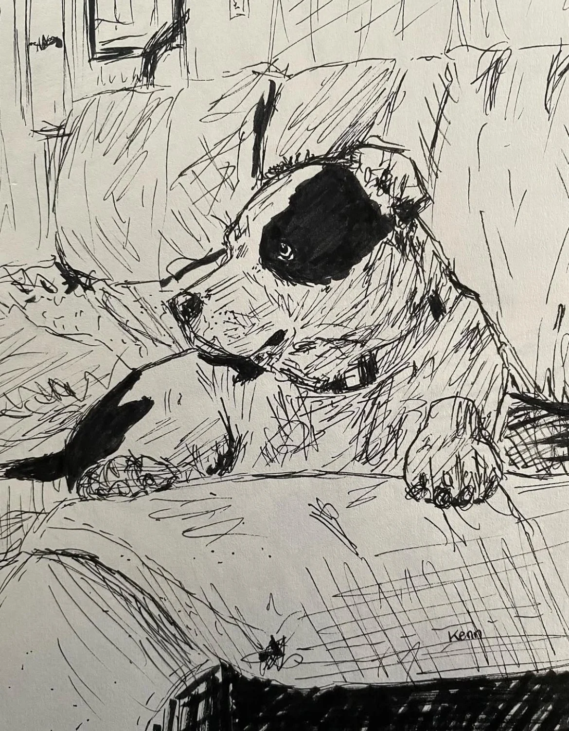 Sugar, ink