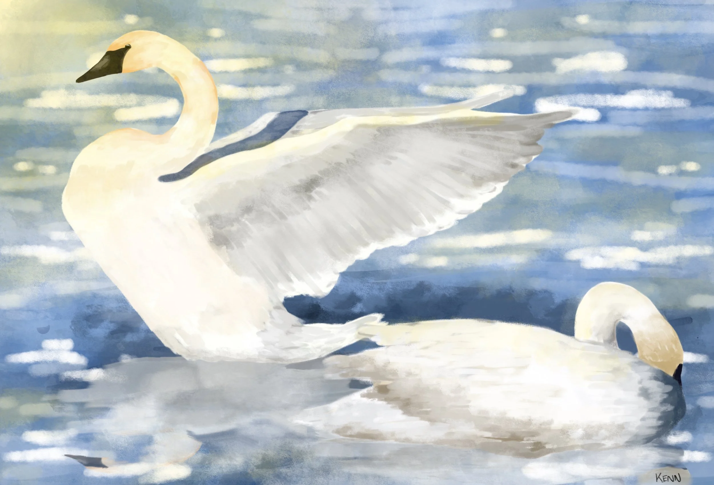 Photo referenced illustration for practice 