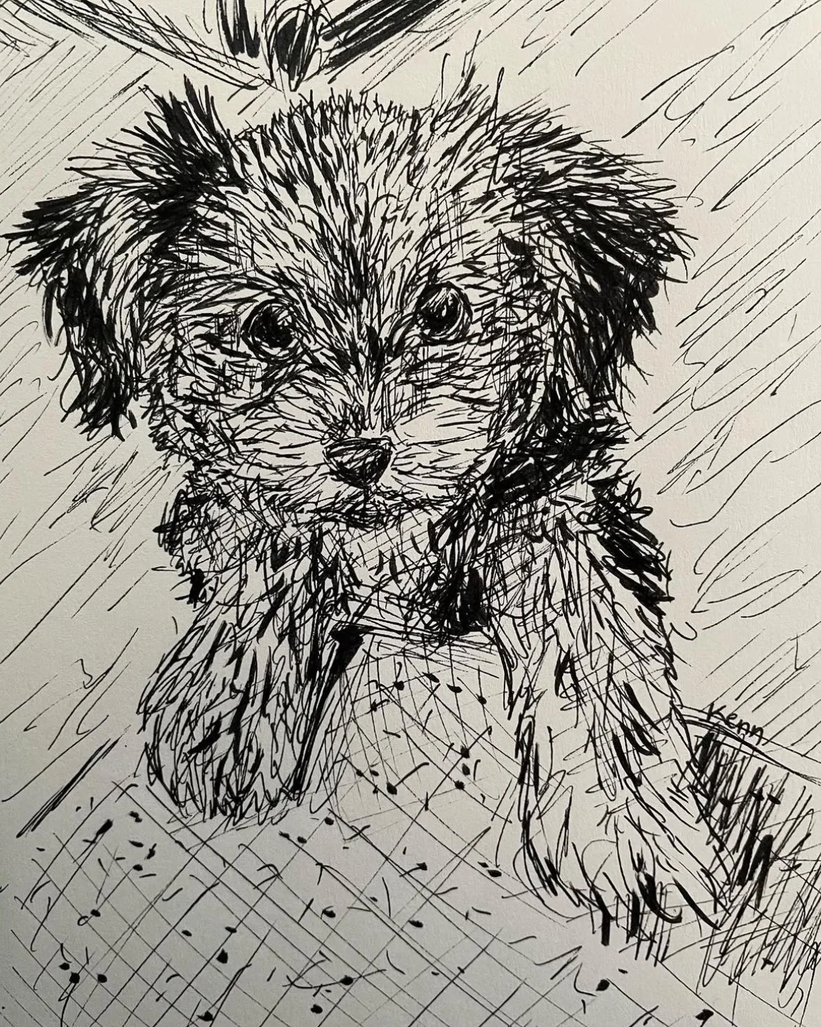 Dixie, ink