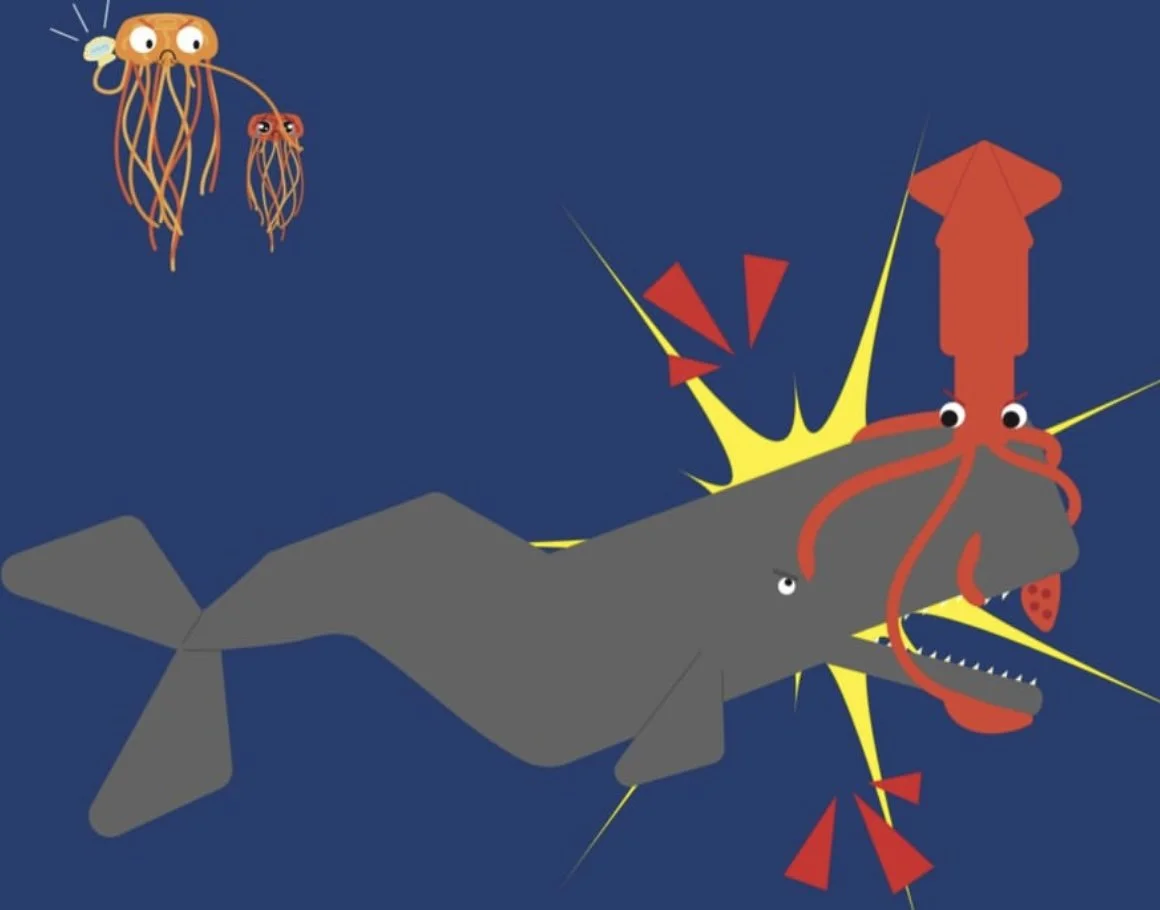 Sperm Whale and Colossal Squid Part 1
