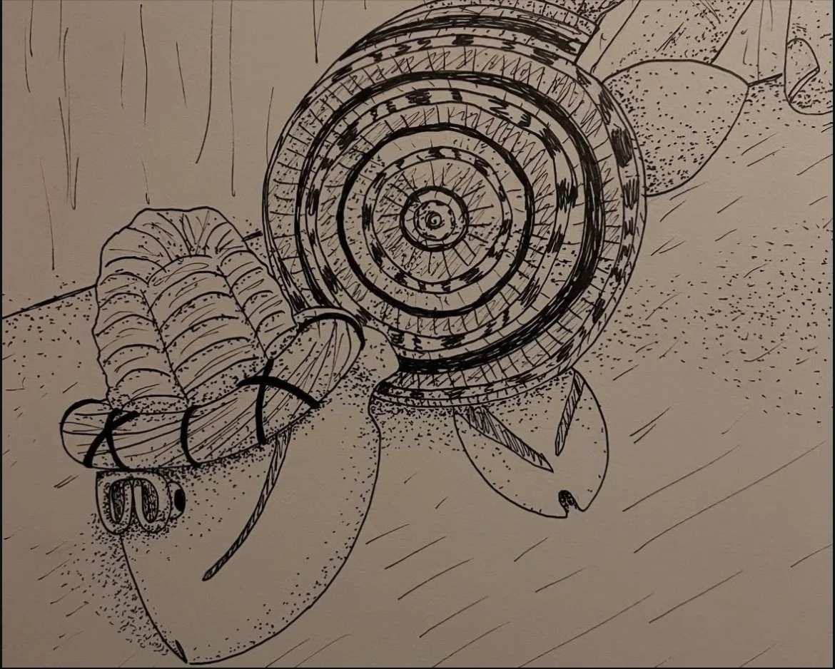 Hat Turtle, ink