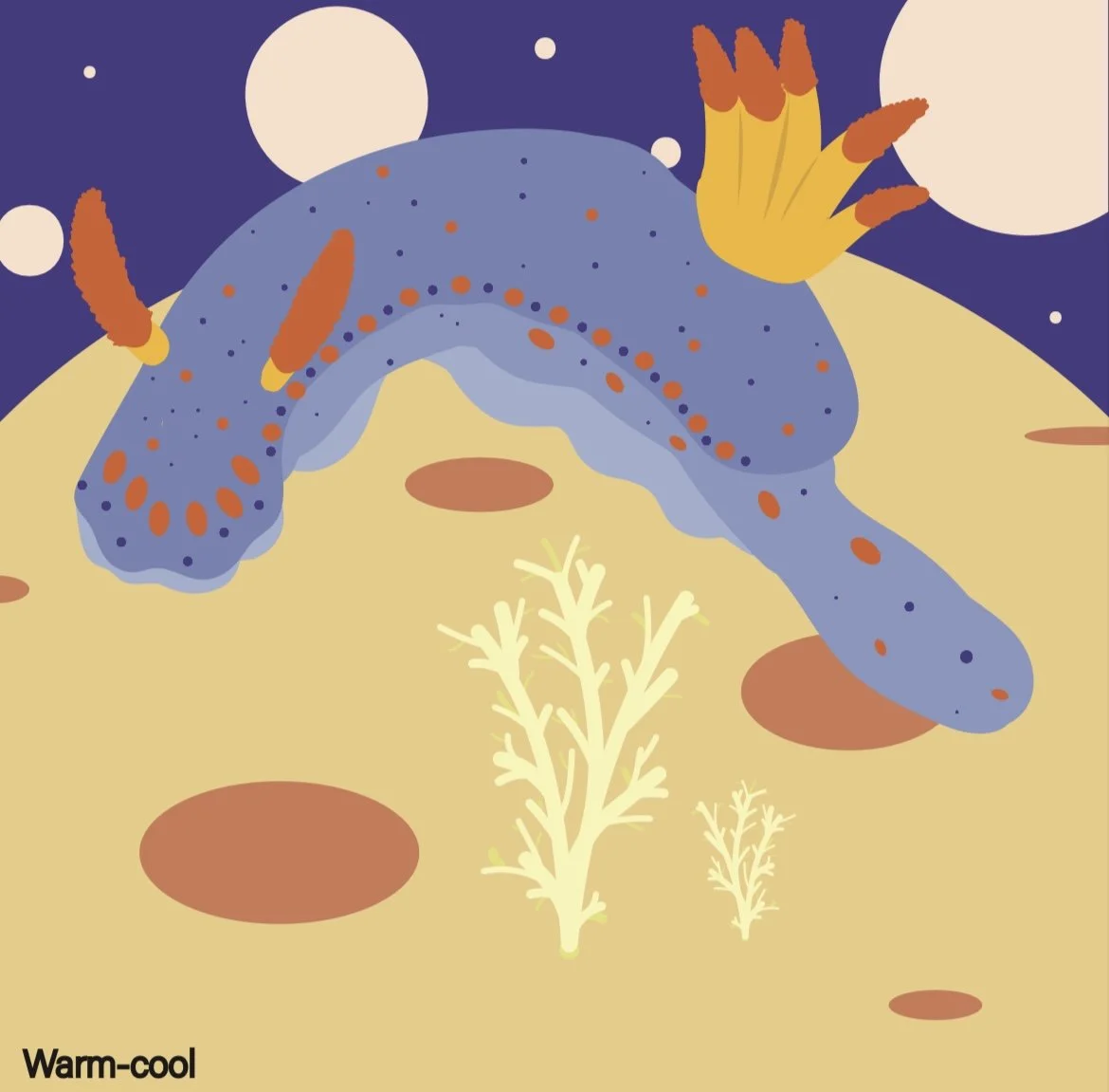 Sea slug 