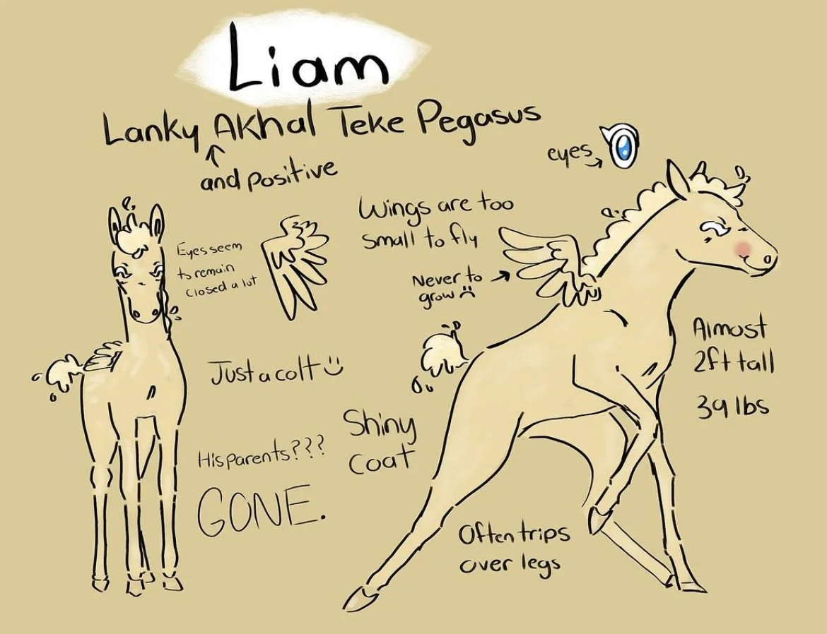 Horse design