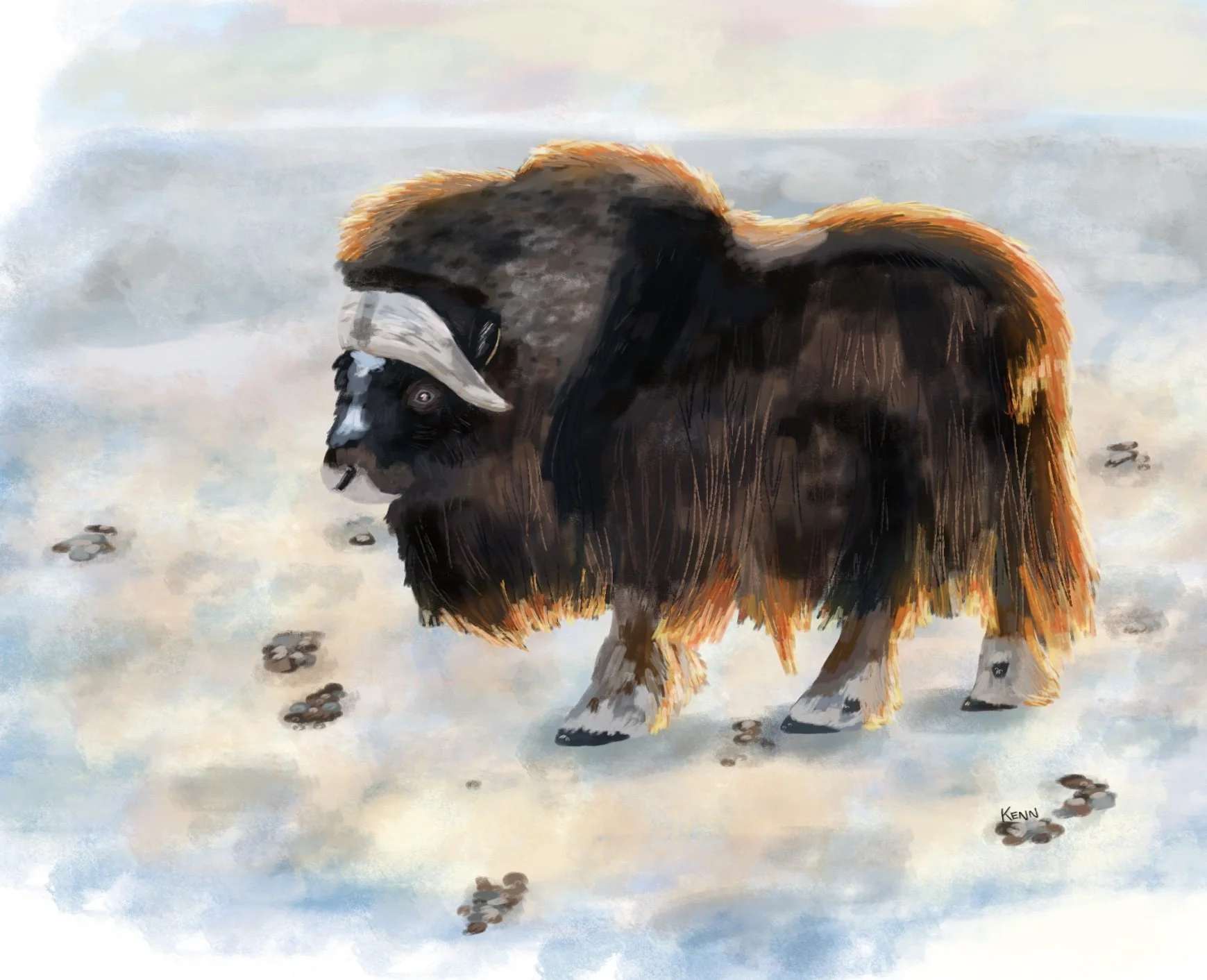 Photo referenced illustration for practice, 