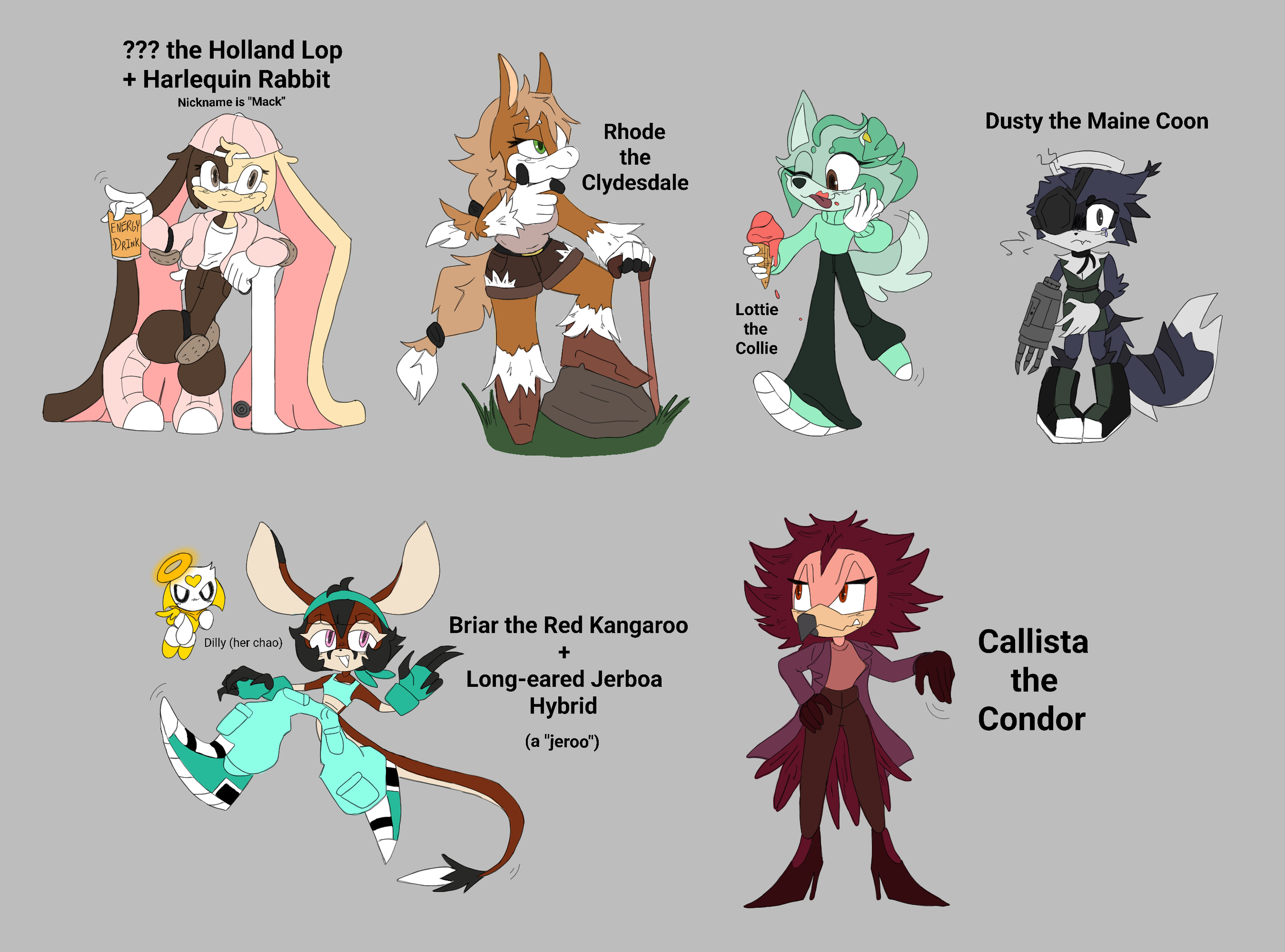 Sonic the Hedgehog original characters 