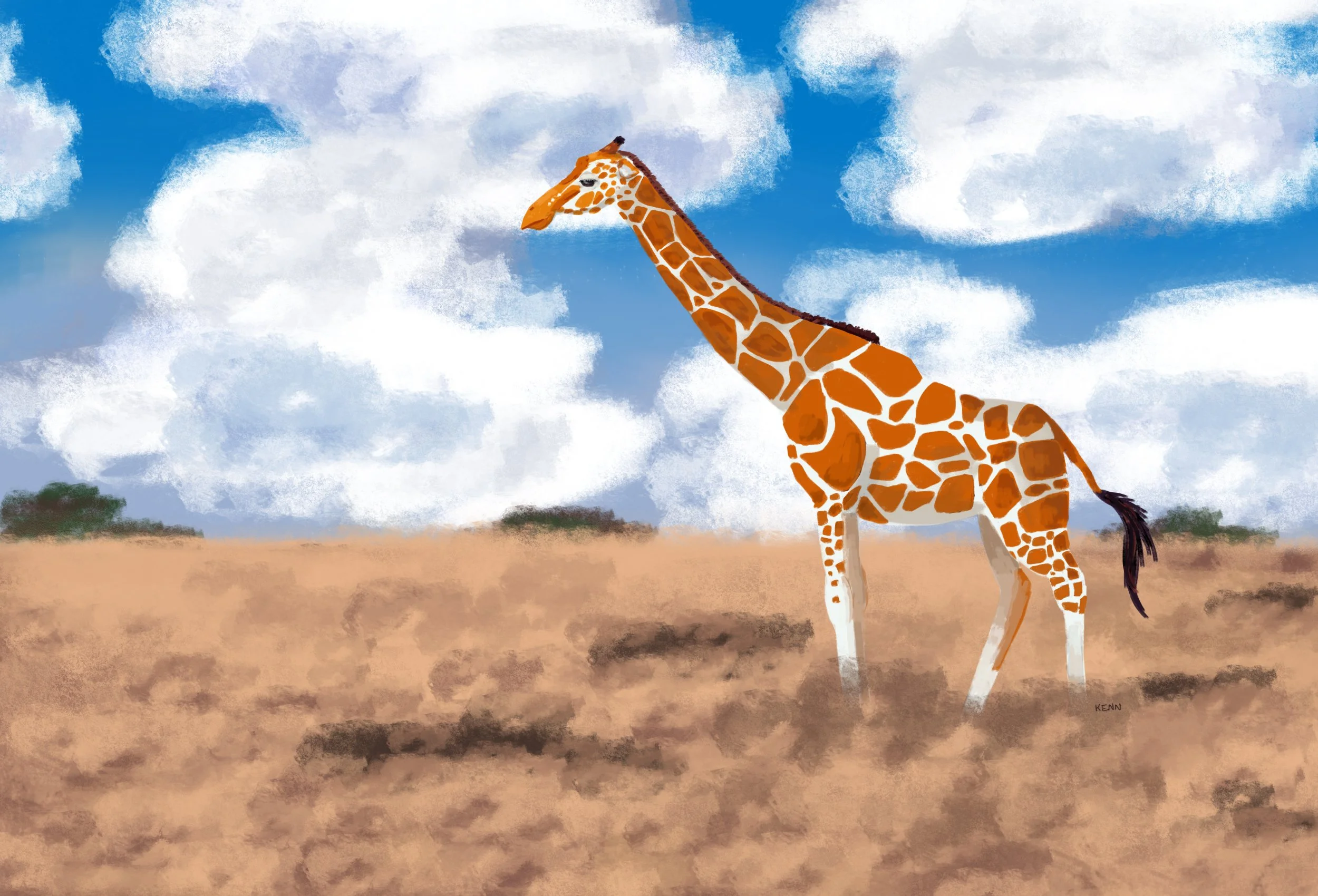 Photo referenced illustration for practice 