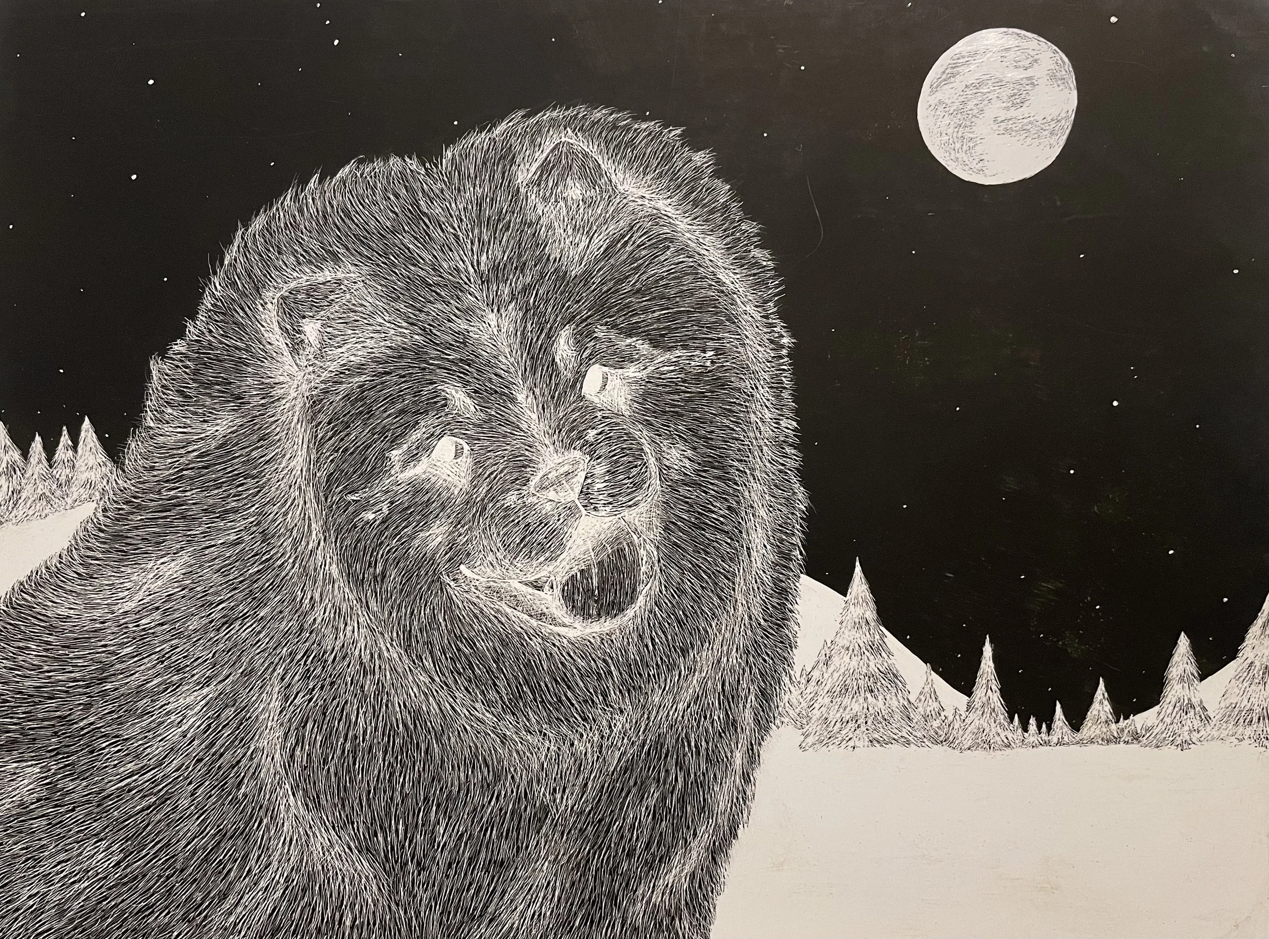 A Chow Chow, scratch art