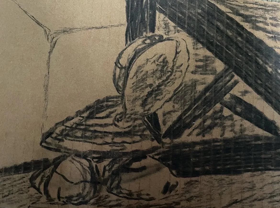 Hat Turtle the Mighty, charcoal