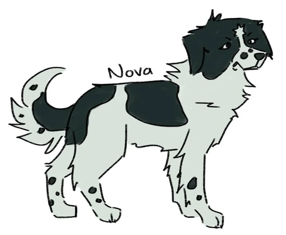 IMG_8481.jpeg