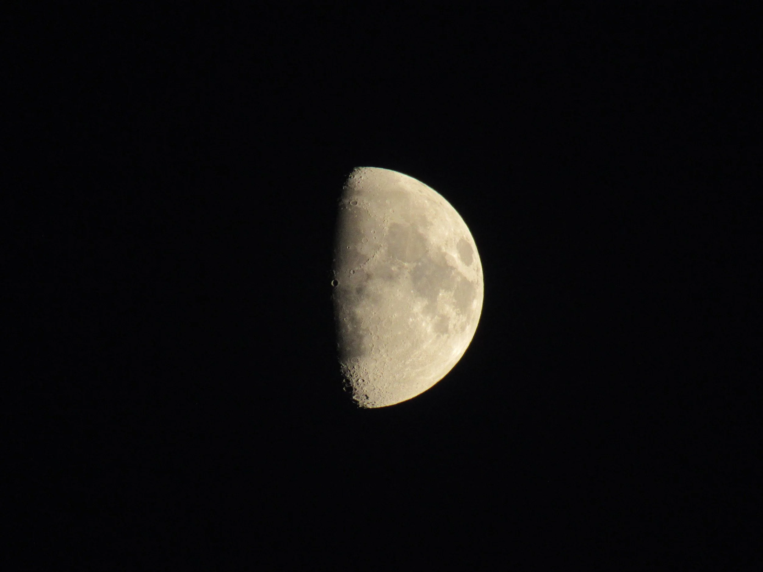 The moon