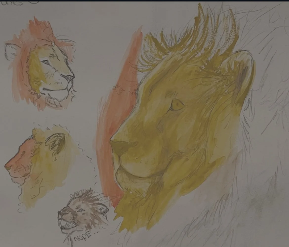 Lion practice, gouache