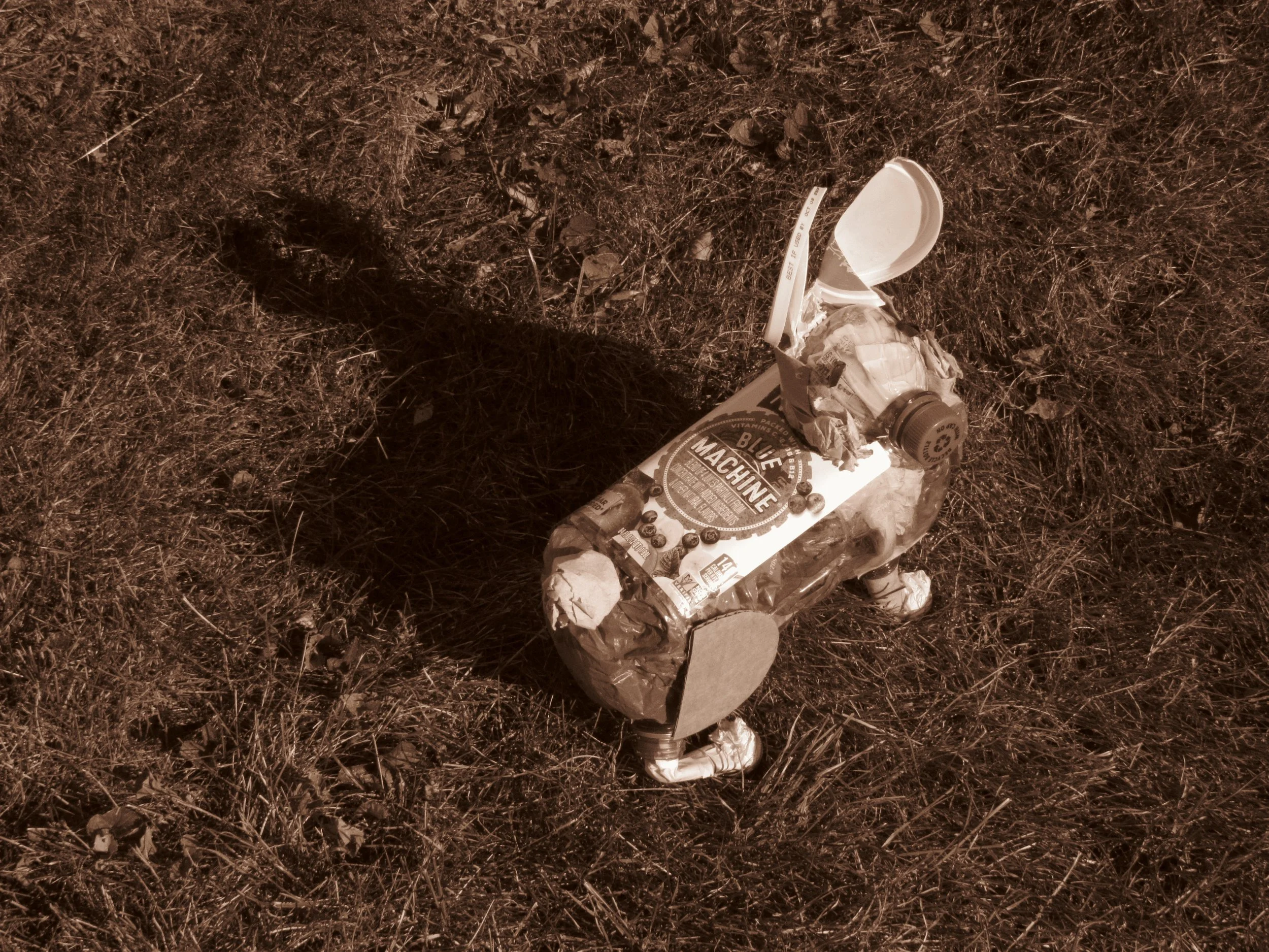 Photo 2
