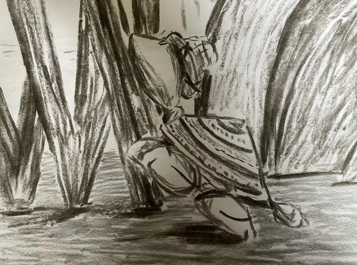 Hat Turtle, charcoal