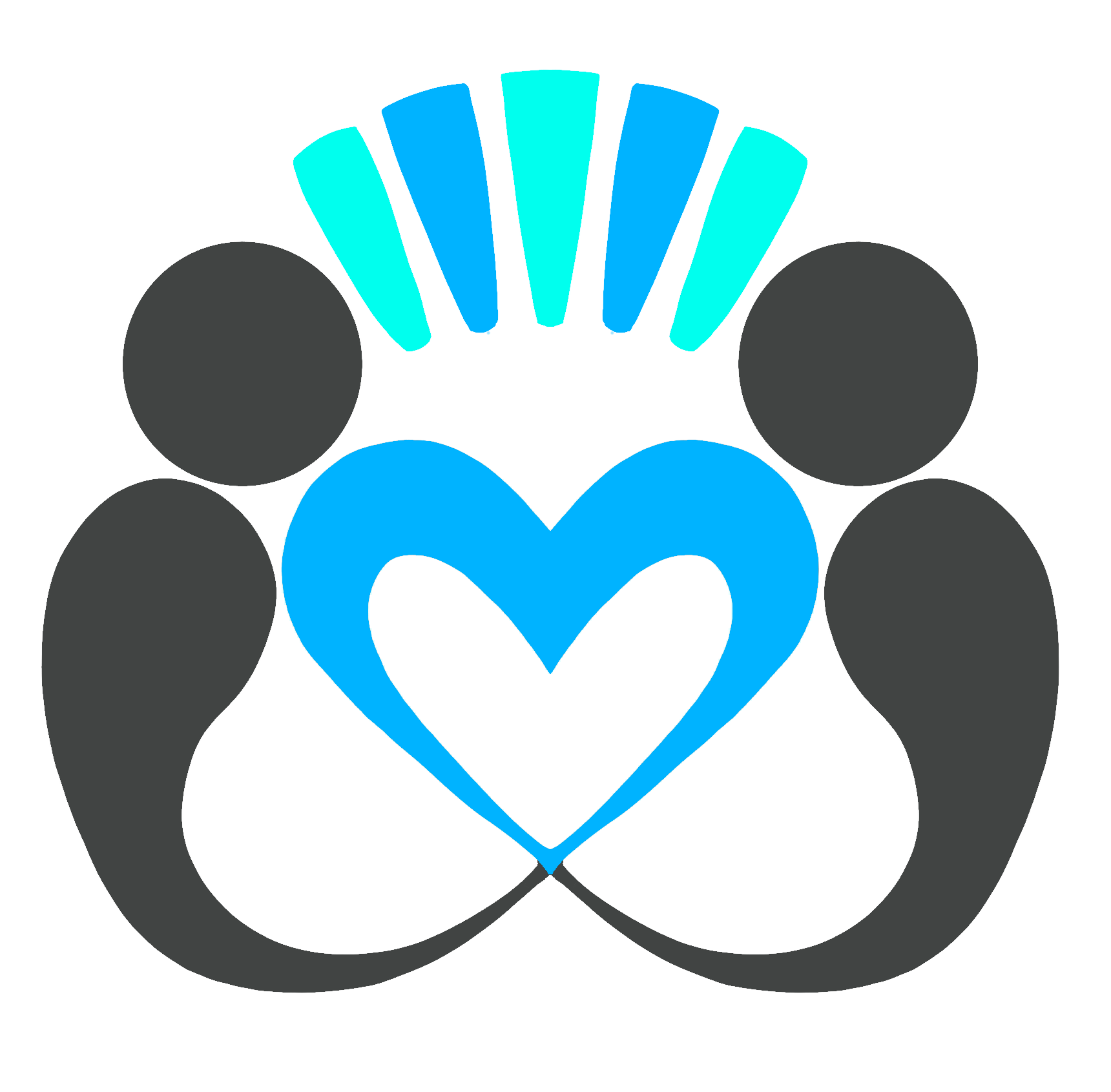 A C.A.R.E CONNECT logo idea