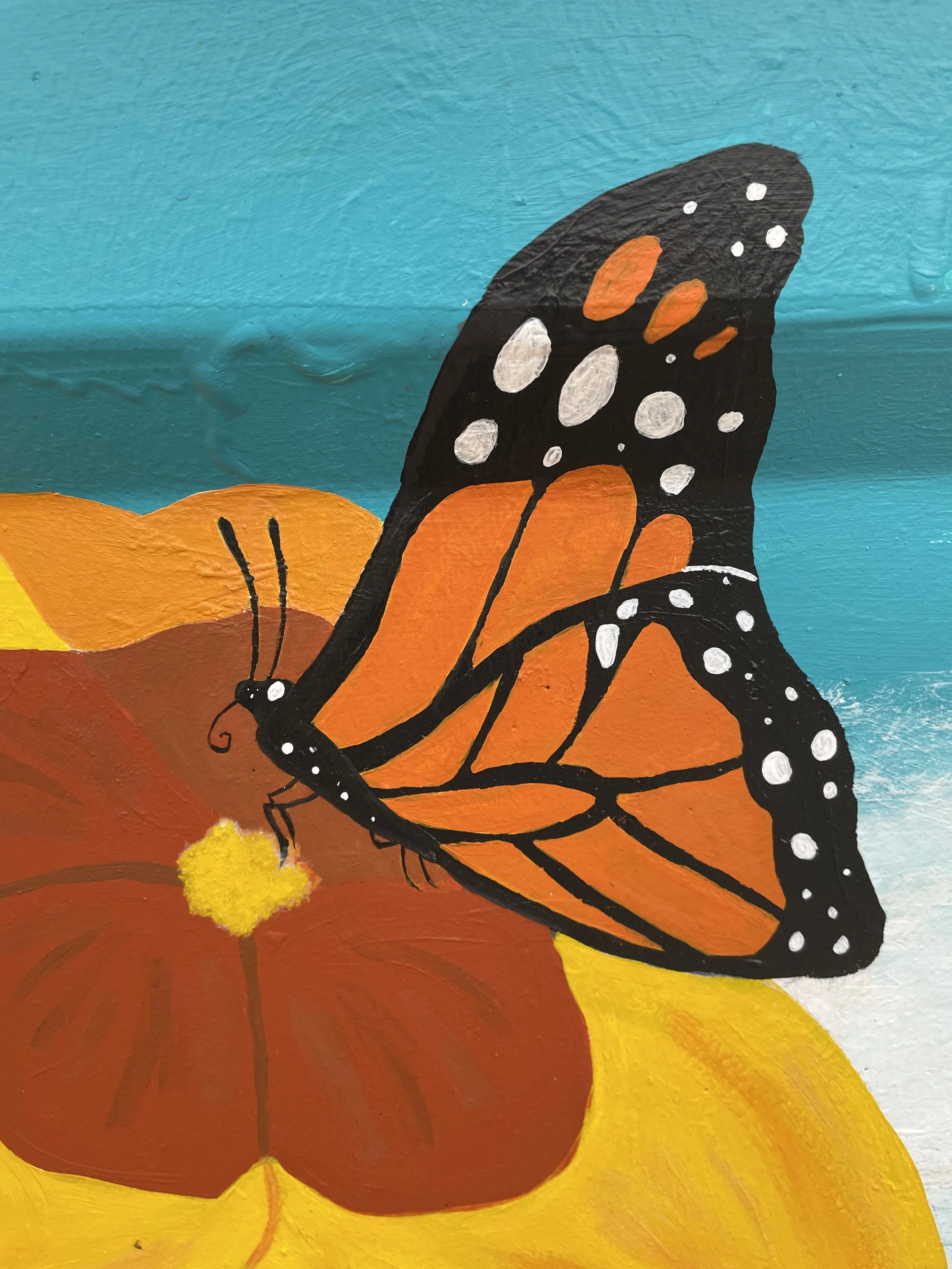 Close up of the Monarch Butterfly
