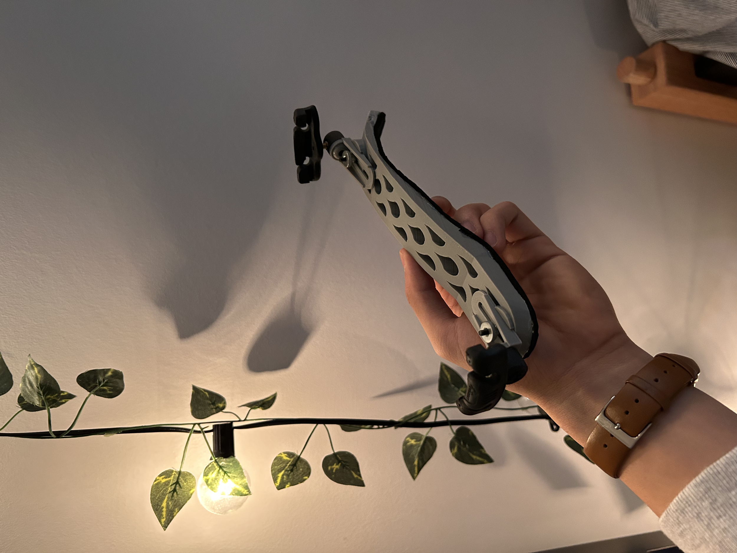 tempImage1RPZsf.png
