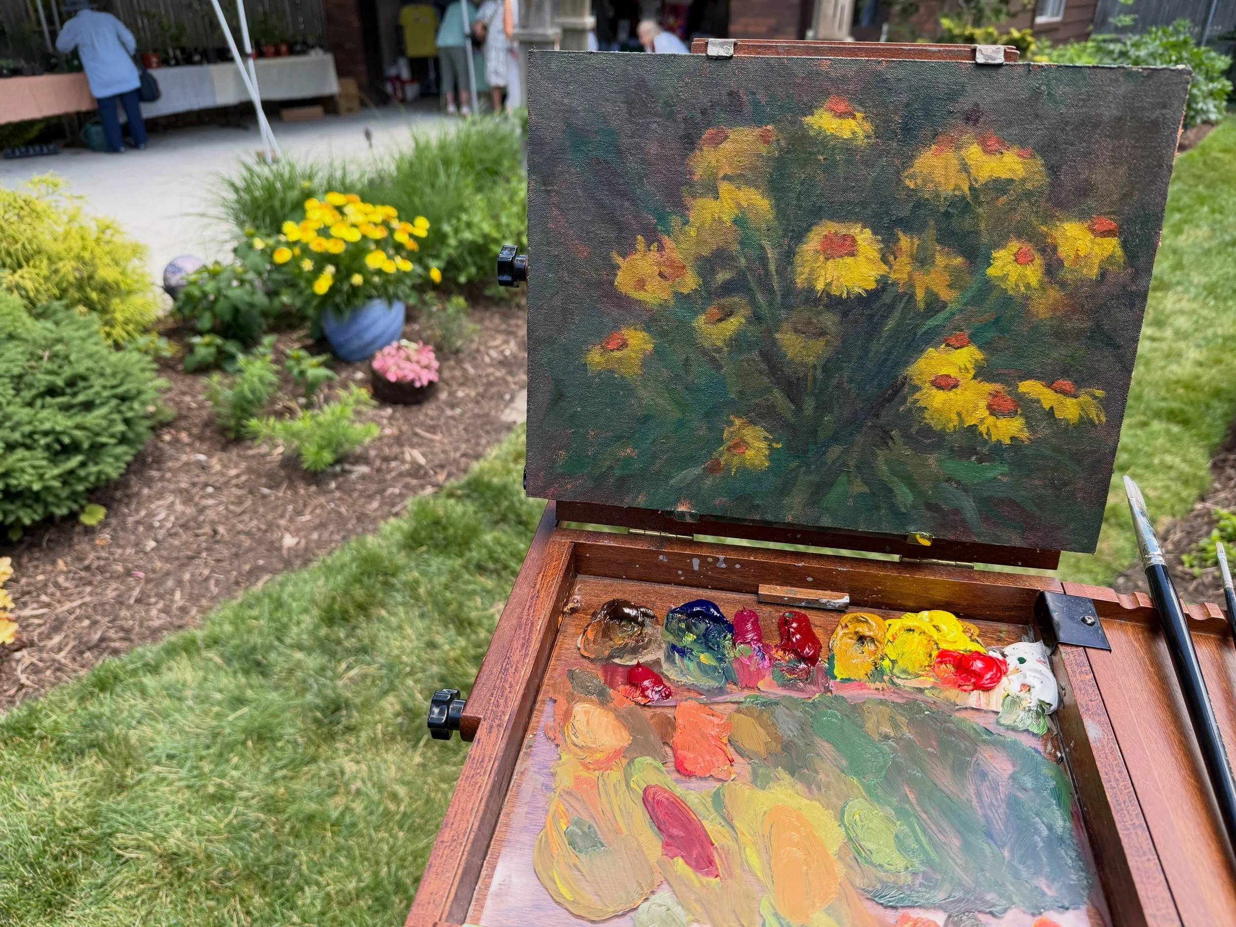 12x9 oil plein air painting of some strawflowers painted during the recent Grosse Pointe Garden Show