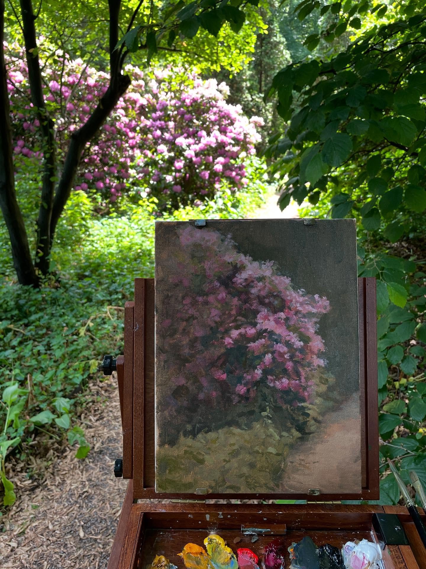 My painting, Pathway Rhododendron, won first place at this year&rsquo;s @eefordhouse Paint Out. 9x12 oil on panel.

#pleinair #oilpainting