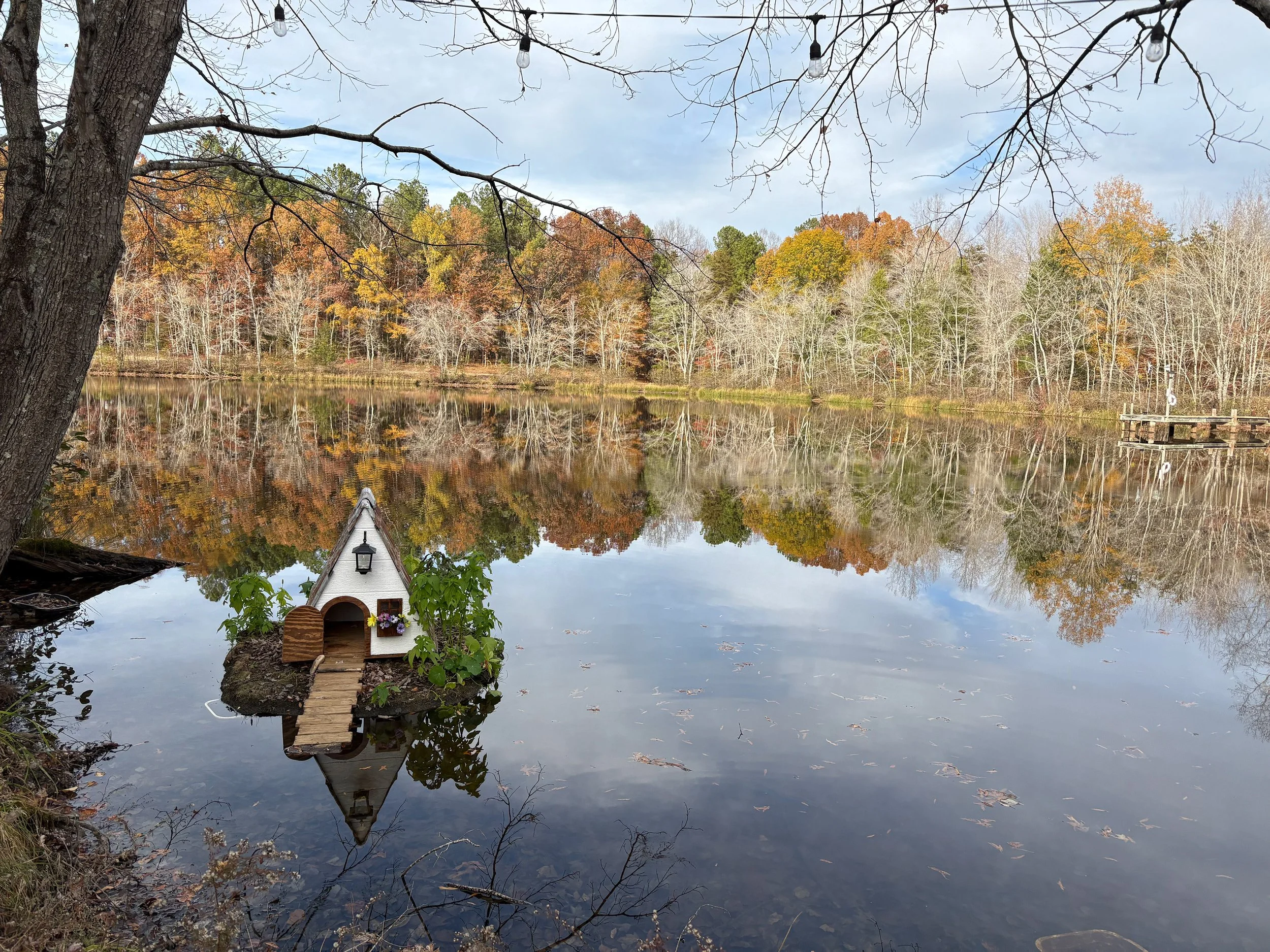 A house for the ducks at Lake Glen Haven in Louisa Virginia