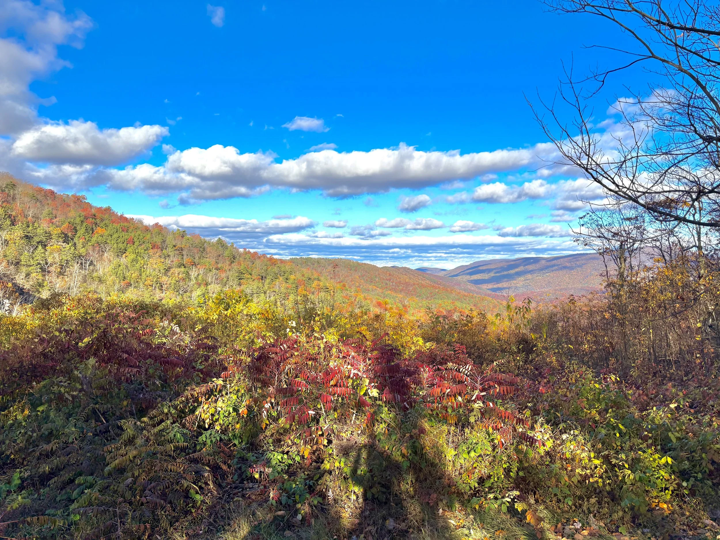 Blue Ridge Mountains