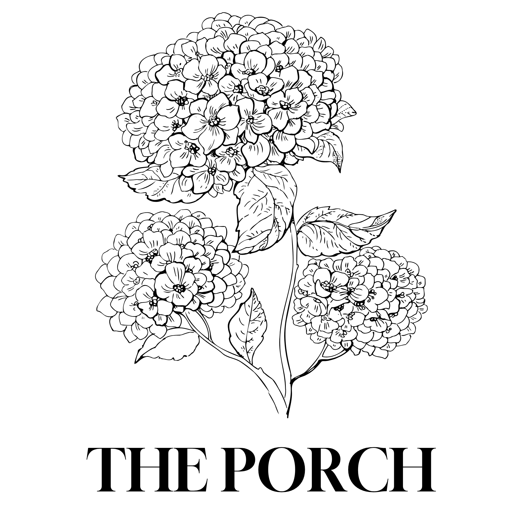 Black and white illustration of a cluster of hydrangea flowers with leaves, with the text 'THE POUCH' below.