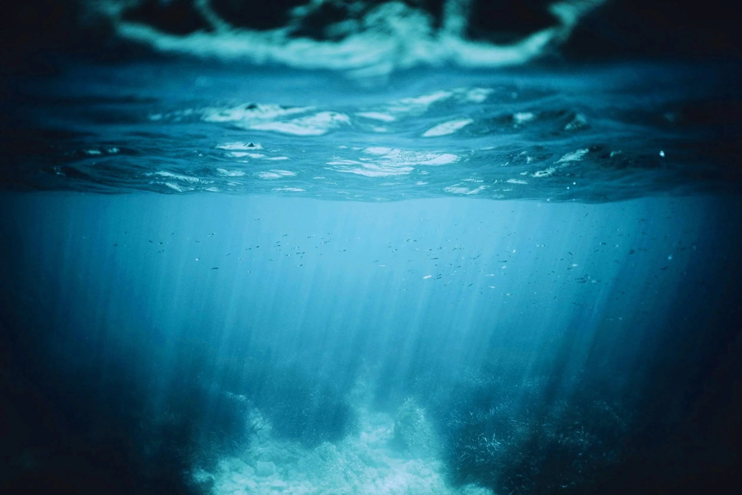 unsplash-image-bCVXqpqDat4.jpg