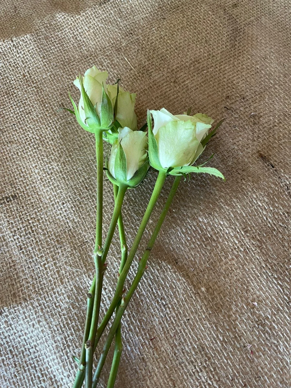 A small bouquet of three white roses with green stems and leaves resting on a textured brown surface.
