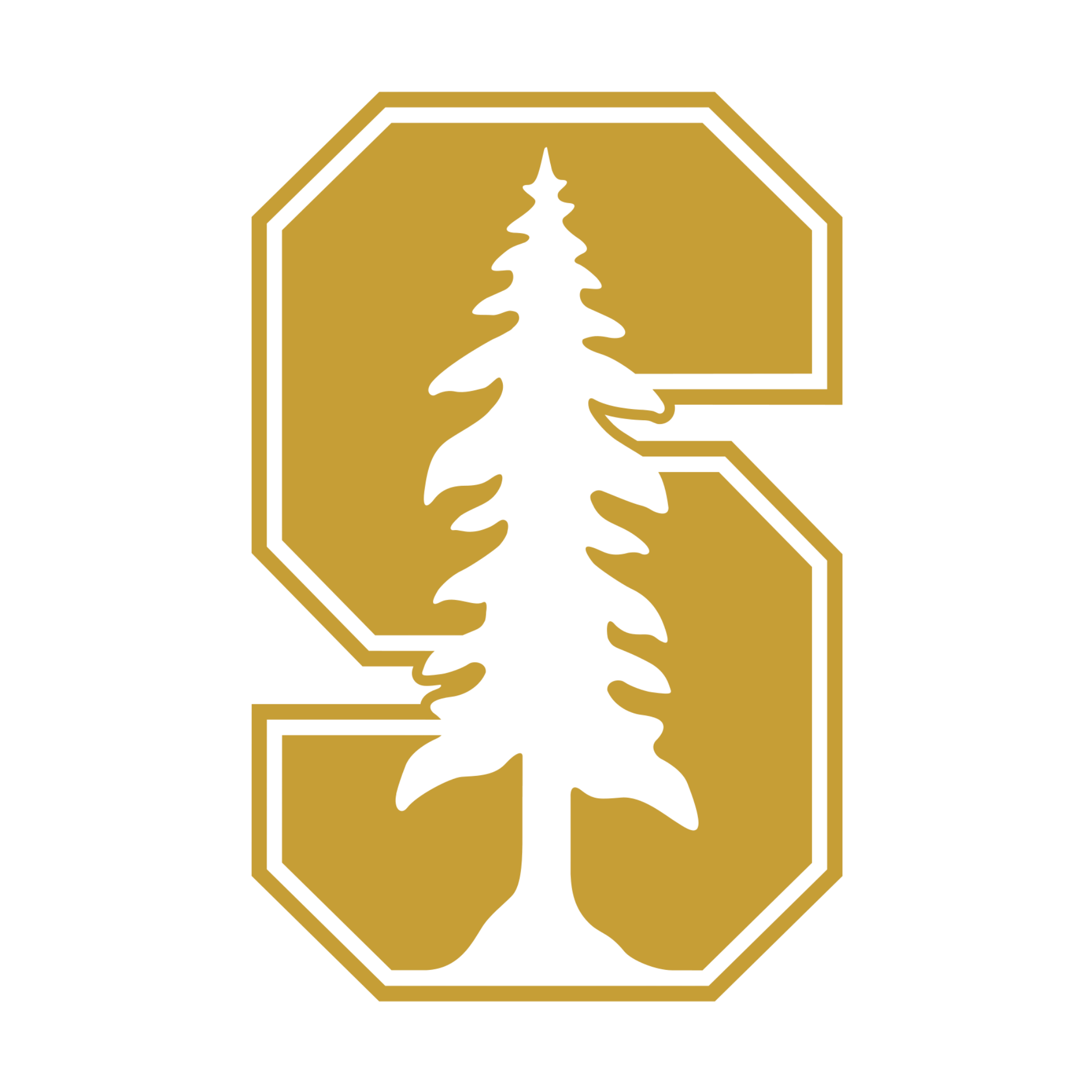 A logo featuring a stylized black silhouette of a pine tree inside a gold octagon outline, with bold black text above reading 'BLACK DIAMOND'.
