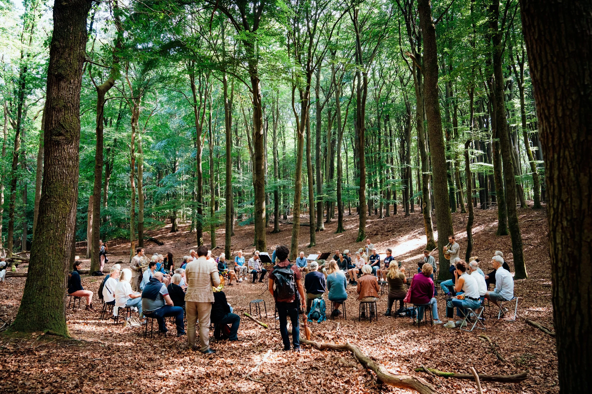 20220805_Wald_KroondomeinHetLoo_Muziekzomer_JessieKamp_005.jpg