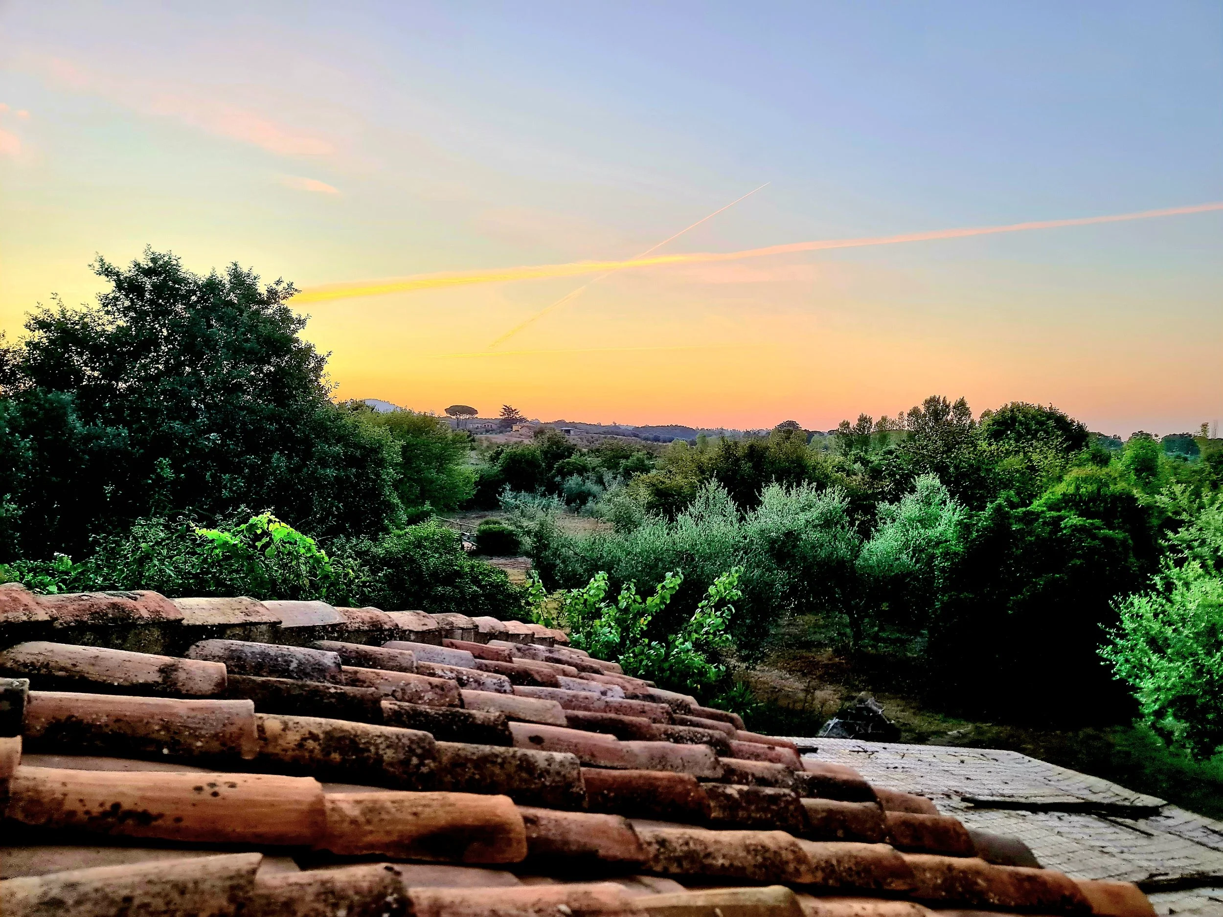 Veduta di un’alba in campagna con alberi verdi e un cielo al tramonto con nuvole color rosa e arancio.
