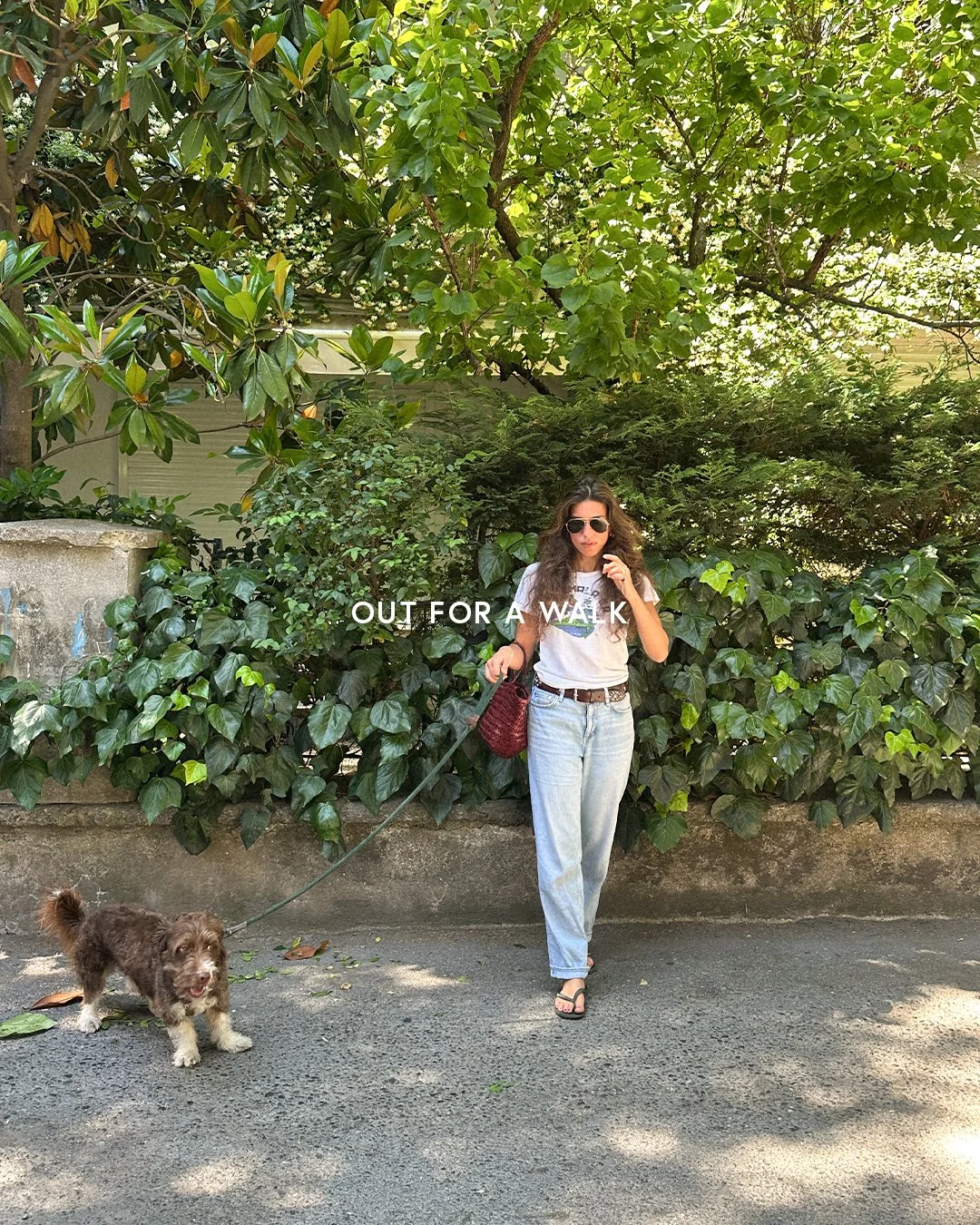 Walk-1.jpg